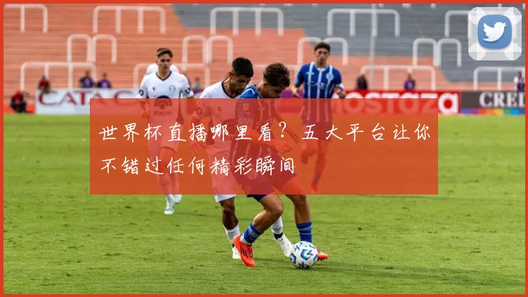 世界杯直播哪里看？五大平台让你不错过任何精彩瞬间
