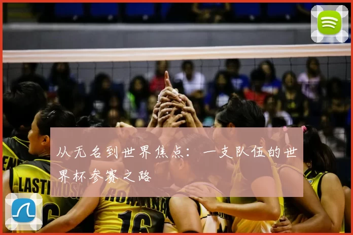 从无名到世界焦点：一支队伍的世界杯参赛之路