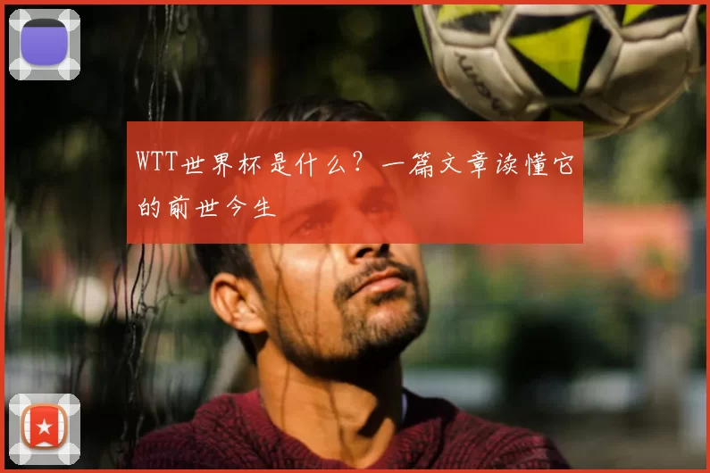 WTT世界杯是什么？一篇文章读懂它的前世今生