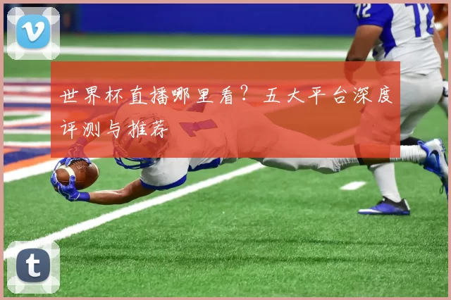 世界杯直播哪里看？五大平台深度评测与推荐