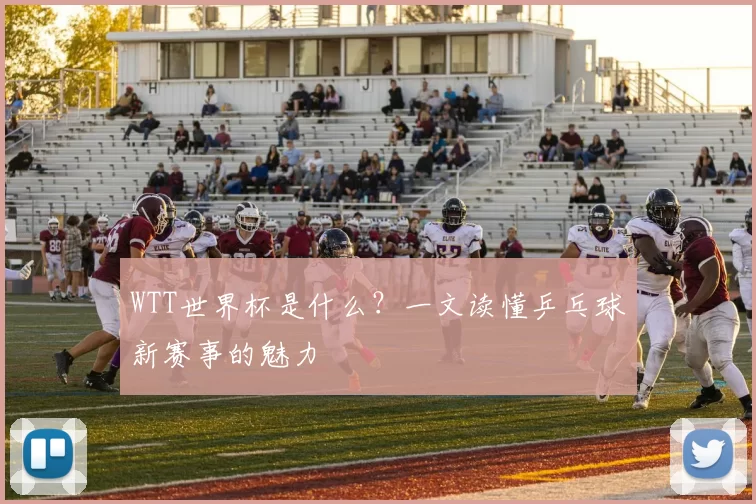 WTT世界杯是什么？一文读懂乒乓球新赛事的魅力