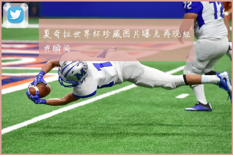 夏奇拉世界杯珍藏图片曝光再现经典瞬间