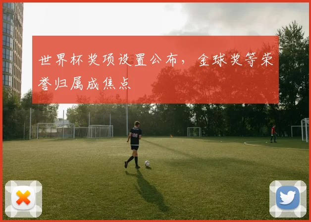 世界杯奖项设置公布，金球奖等荣誉归属成焦点