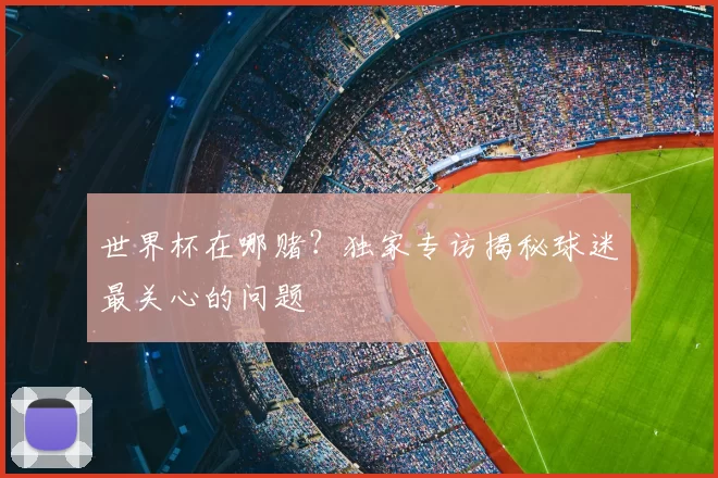 世界杯在哪赌？独家专访揭秘球迷最关心的问题