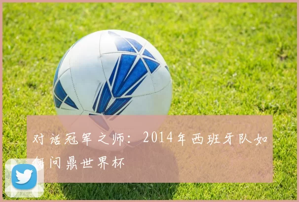 对话冠军之师：2014年西班牙队如何问鼎世界杯