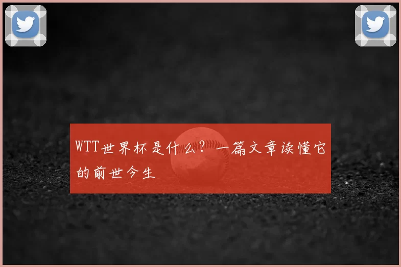 WTT世界杯是什么？一篇文章读懂它的前世今生